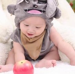 北京试管婴儿全流程解析，一步步带你了解详细步骤