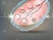 上海哪个医院做试管比较好？附上海试管婴儿医院明细